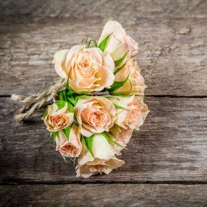 Meet your Posher, Katrina